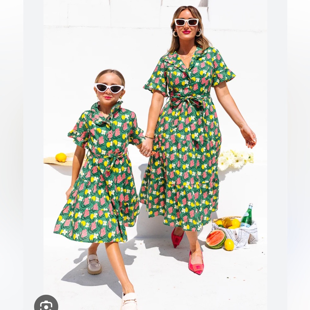NWT Ivy City Co Sutton Dress size 2 🍇🍋